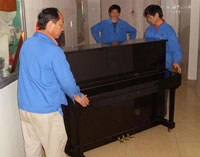 �����������S�D��